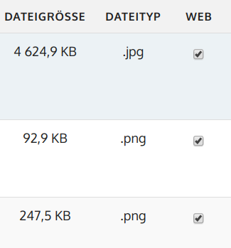 Warum werden die zu einer Meldung hochgeladenen Dateien nicht im Presseportal angezeigt?