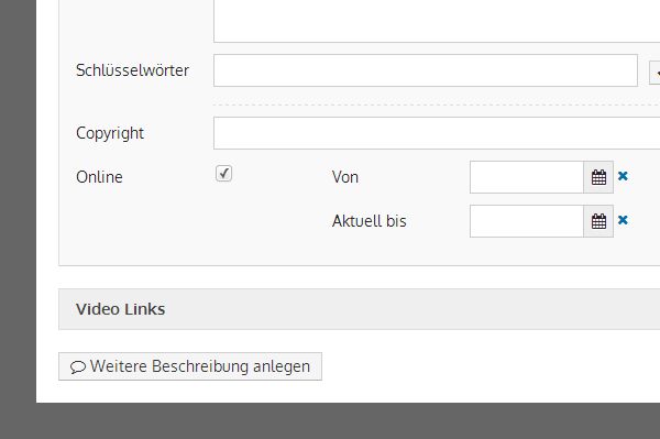 Anhang wird beim Versand nicht mitgesendet - Checkbox Online auf Detailseite