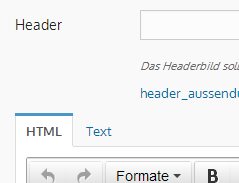 Warum wird der Header aus der Vorlage nicht richtig angezeigt?