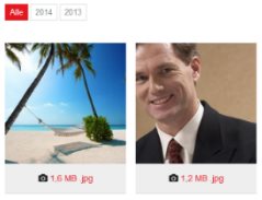 Quadratische Bilder in der Media-Galerie