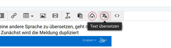 Text übersetzen